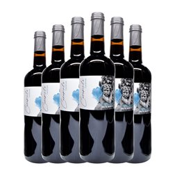 Norte de España - CVNE Caramulo Vinos de Madrid 75 cl Vino Tinto (Caja de 6 unidades)