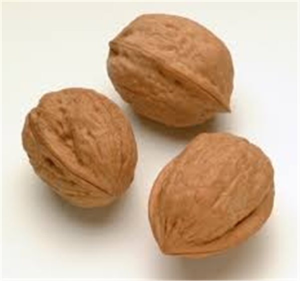 Walnuts-izquierda