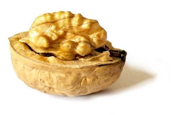 PEELED WALNUT HALVES-lateral