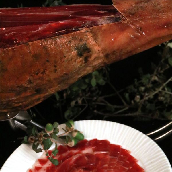 OFERTA de100% ibérico Bellota - PALETA 5 ENCINAS, de 5 kilos aproximadamente-lateral