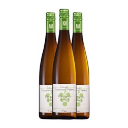 Ökonomierat RebHolz Tonel 3 Riesling Trocken — Seco Pfälz 75 cl Vino Blanco (Caja de 3 unidades)