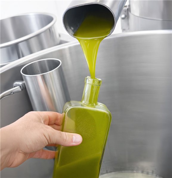 Oli del Raig 2026 – Unfiltered Early Harvest EVOO - PRE-SALE-izquierda