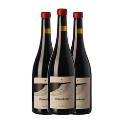 Oriol Artigas El Rumbero Non Filtrato — Sin Filtrar Joven 75 cl Vino Tinto (Caja de 3 unidades)