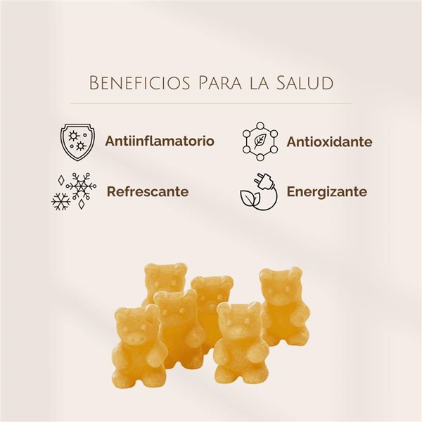 Ositos de Jengibre y Limón - Gominola o Té Soluble-trasera