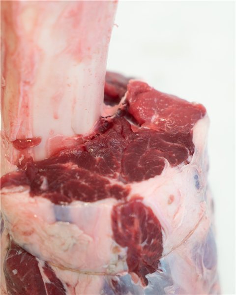 Thor's Hammer Osso Buco-lateral