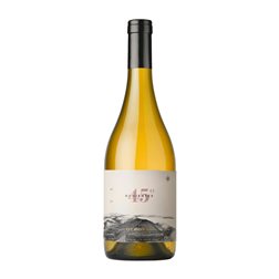 Otronia 45 Rugientes Corte de Blancas Patagonia 75 cl Vino Blanco