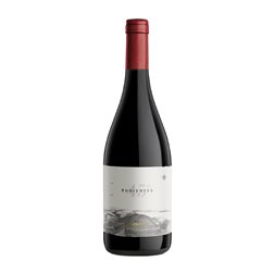 Otronia 45 Rugientes Pinot Negro Patagonia 75 cl Vino Tinto