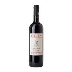 Ottin Pinot Negro Valle d'Aosta 75 cl Vino Tinto