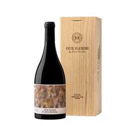 Our Hands von Jesús Mendoza 2024