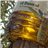 Pack 2× Daurat 5L - Extra Virgin Olive Oil-lateral