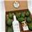 Pack 2 Kg Aguacates Premium + Aceite Arbequina + Miel Natural 500 gr (A Elegir)-lateral
