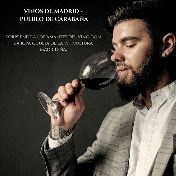 Pack 3 Botellas Colección Vino de Madrid Henrique de Benoit | 2 Tintos y 1 Blanco Artesanales | Pack Regalo Gourmet | Pack Vino de Madrid-lateral