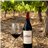 Pack mit 3 Flaschen Rotwein Henrique de Benoit-lateral