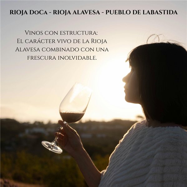 Pack 3 Flaschen Rioja-Wein D.O.Ca Henrique Benoit | 2 Premium Weißweine und 1 Rotwein Crianza Reserva de Parcela | Elegantes Geschenk | Rioja Sammlungs-Pack-lateral