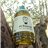 Pack 3× Daurat 2L - Extra Virgin Olive Oil-detalle