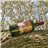 Pack 3× Via Domitia 2025 - Extra Virgin Olive Oil 750 ml-detalle