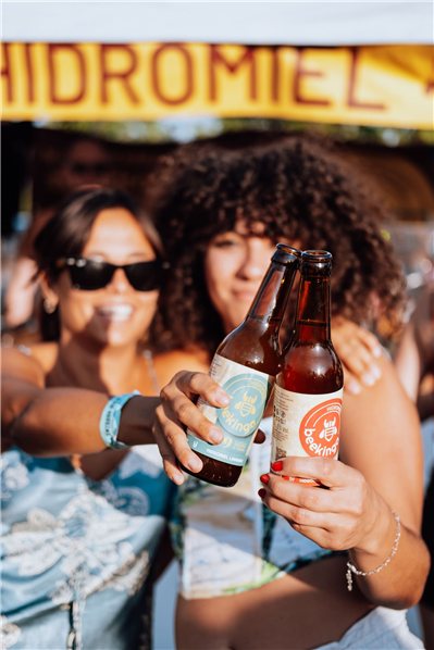 Beekinga Lavendel - 6 Flaschen 33cl-lateral