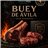 PACK Barbacoa Buey de Ávila (4 personas)