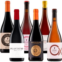 Pack Bernardo Fariña Enología Creativa