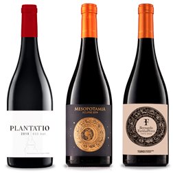 Pack Bernardo Fariña Toro