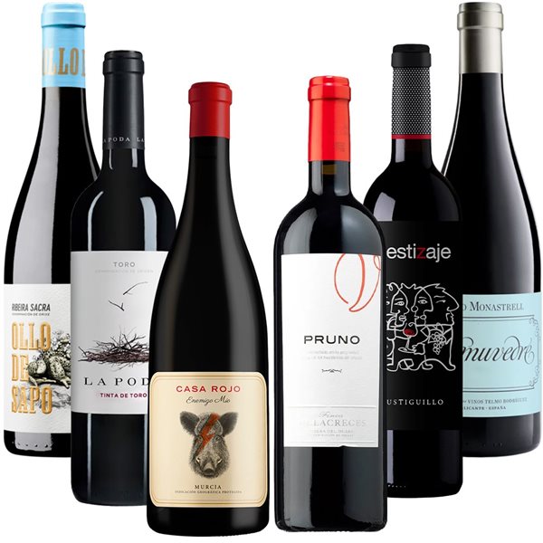 PACK CATA Uvas Tintas de España-detalle