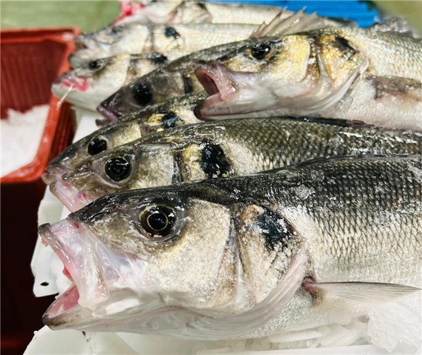 Pack de Poisson Sauvage (2 Bars de 800-1000g et 1 Merlu de 2Kgs)-izquierda