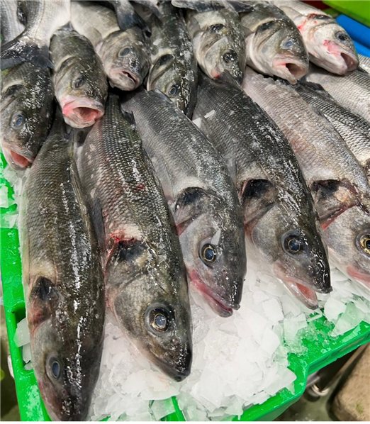 Pack de Poisson Sauvage (2 Bars de 800-1000g et 1 Merlu de 2Kgs)-trasera