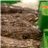 Wild Fish Pack (2 Hake Fillets and White Wine)-lateral