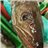 Wild Fish Pack (2 Hake Fillets and White Wine)