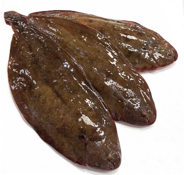 Paket mit Wildfisch (3 Seezungen von 350-400 g und 1 Merluza von 2 kg)-izquierda