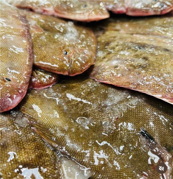 Paket mit Wildfisch (3 Seezungen von 350-400 g und 1 Merluza von 2 kg)-lateral