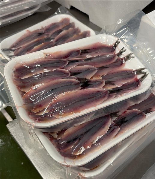 Pack de Pescado Salvaje (Centollo de 1Kg, 1 Merluza de 2Kgs y Bocartes frescos de Costera 1Kg)-lateral