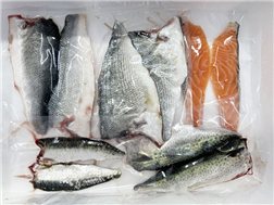 Pack Exclusivo Sushi Lovers