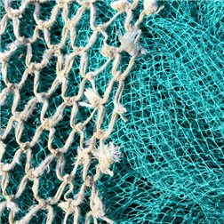 Pack Gallego se traduce al francés como "Pack Galicien".