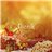 Picnic Pack-detalle