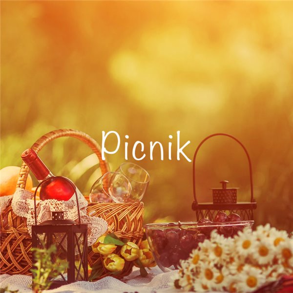 Picnic Pack-detalle