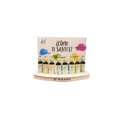 Spring Pack (8 flowers) Bach