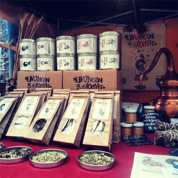 GESCHENKPAKET 5 BIO-TEES + EXKLUSIVE TASSE-detalle