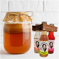 Pack SCOBY + surtido Kombucha KAMPANERA