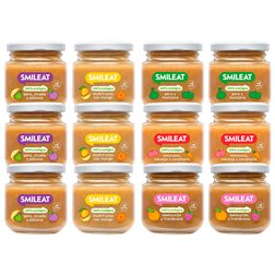 Variety Fruit Puree Pack X 10