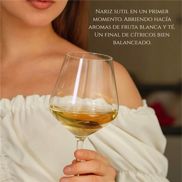 Pack Vino Blanco Rioja D.0. Viñedo de Zona | Pack 3 Botellas 750 ml | Viura 90% y Tempranillo 10% | Caja Vino Blanco Premium | Regalo Gourmet-trasera