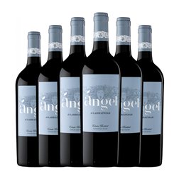 Pago de Larrainzar Ángel Seco Navarra 75 cl Vegano Vino Tinto (Caja de 6 unidades)