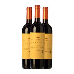 Palacio Quemado Ribera del Guadiana Reserva 75 cl Vino Tinto (Caja de 3 unidades)