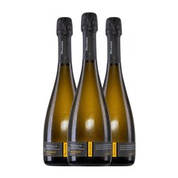 Paladin Extra Dry — Extra Seco Prosecco Millesimato 75 cl Espumoso Blanco (Caja de 3 unidades)