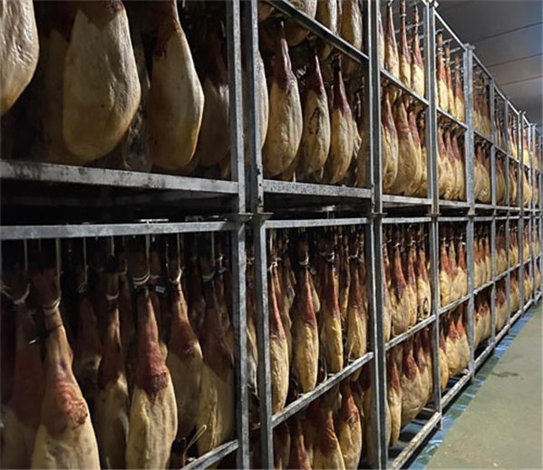 Paleta de cebo de campo 100% Ibérico con DOP Los Pedroches en sobres (brida verde)-lateral
