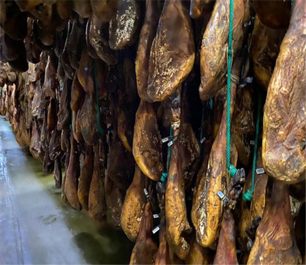 Paleta de cebo de campo 100% Ibérico con DOP Los Pedroches en sobres (brida verde)-trasera
