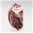 Boneless 100% Iberian Field Cured Shoulder, Beher-detalle