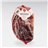 Boneless 100% Iberian Field Cured Shoulder, Beher-lateral