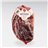Boneless 100% Iberian Field Cured Shoulder, Beher