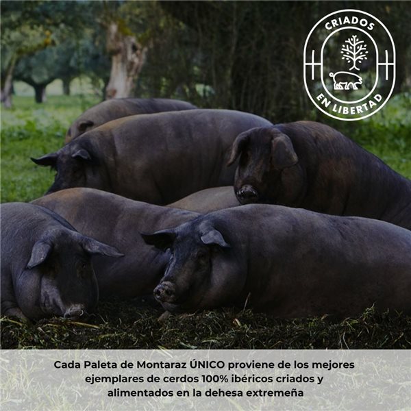 Paleta Ibérica de Bellota 100% Raza Ibérica Montaraz | Curación 24 Meses | Pieza Entera de 4,5-5 kg | Calidad Gourmet | Sin Aditivos ni Conservantes-izquierda